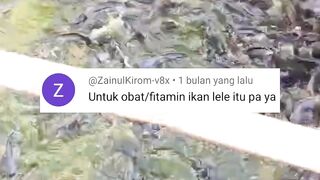 PELET yang sudah DIBIBIS apakah boleh DIBERIKAN untuk BESOK