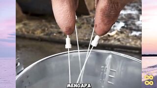 Mengapa Susu Sapi Bisa Keluar Deras?????