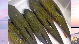 Ikan Aneh yang Bisa Dimakan versi bola88