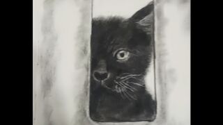 Painting Cats on windows