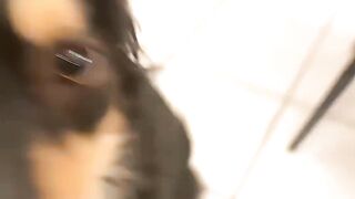 Is that an Alaskan malador?