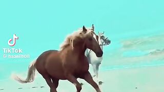 Beautiful Horse Riding