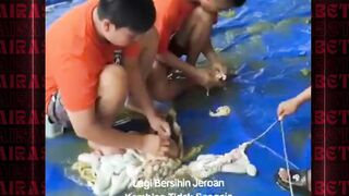 blm sempet liat bumi #airasiabet #fyp #foryou