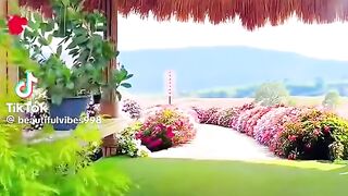 Most peaceful and beautiful seen in china V LOVE 拿