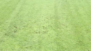 提现不到账真实原因