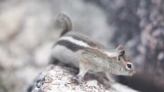 Sport Bike - id | Trending HD Video 24