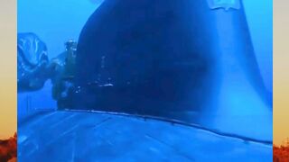 Lagi asik-asik misi penyelamatan, tiba-tiba kapal selam nuklir ini dikepung kawanan paus! ????