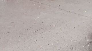 এটাই বাস্তবতা