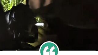 Accident city car and bus