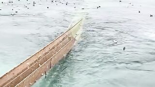 Massive Harvest: Hauling 170 Tons of Wild Alaska Pollock Onboard