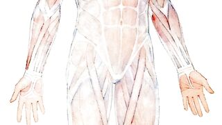 Fakta Menarik Tubuh Manusia