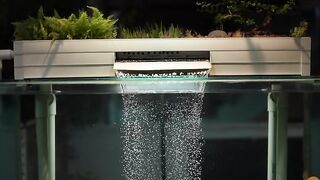 Beautiful Goldfish Swimming in Crystal Clear Aquarium ????✨