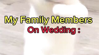My Family Members On Wedding #cutecats #funnycats #wedding #party