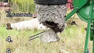 Bee hive 2