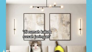 tapi seru walau ga ada jaringan