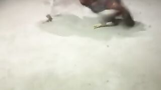 Aseels vs aseels