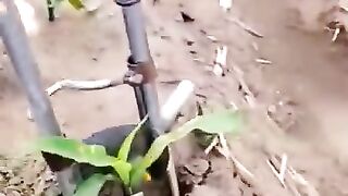 #Farming