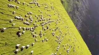 Beautiful Nature