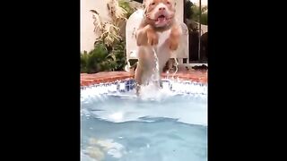 ????I'm a Big Kid Now Cute Baby Animals | Funny Pets City #38
