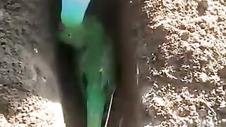 Zandgi mein kbi koi ay na raba