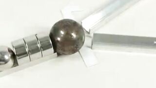 revese video