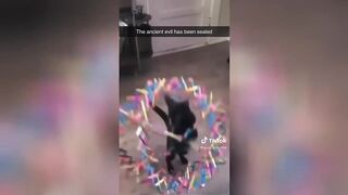 Funny Animal Videos that are IMPOSSIBLE Not to Laugh at