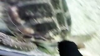 Visit to Turkey