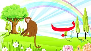 alif bay for kids, Montessori kids