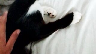 Minha princesa linda ♥️