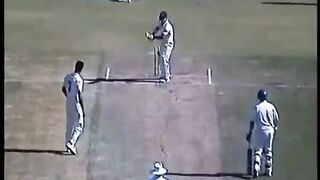 Cricket