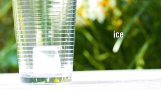 Belvedere Ginger Currant | Drinking