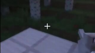 Simple Minecraft vs realistic Minecraft