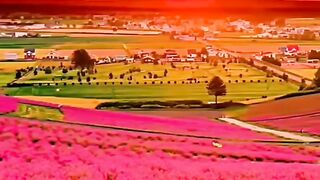 Do you like this place?