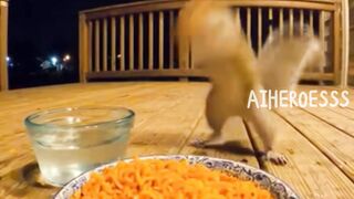 This squirrel is spicy