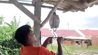 Analisa USAHA budidaya lele segmen PENDEDERAN