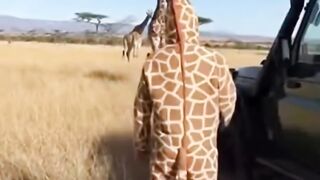 Animal Cosplay Among the Real Herd