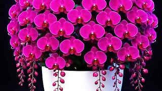 صباح الخير 13