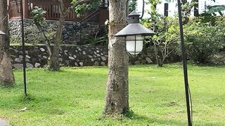 A Peacefull Escape Near Borobudur