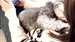 There is nothing truer in this world than the love of a best friend 2