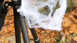 really great photography