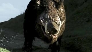 Gak kebayang kalau lagi jalan santai tiba-tiba muncul Babi Hutan raksasa kayak gini! ????????