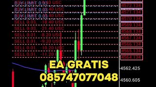 EA Free Robot Trading
