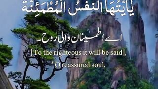 Tilawat e Quran Majeed 54