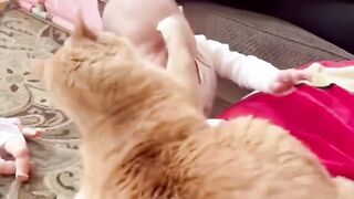 Babies vs cat (funny videos)