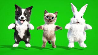 3 Cutest Friends! Puppy, Kitten & Bunny Jumping on Green Screen (Free Asset)
