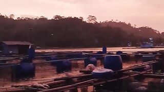 twilight in the afternoon