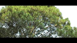 Yuridia - Ya Te Olvidé