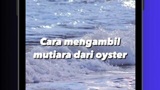Harta Kecil dari Laut ????????