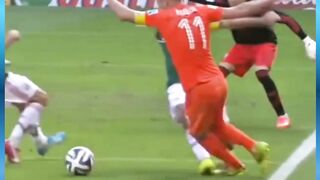 DEWASCORE - Penalti hantu Robben di Piala Dunia 2014