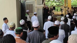 ???????????????? 252